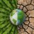 Le gouvernement valide les conclusions de base du projet de résilience climatique à Kigoma
 – Tanzanie