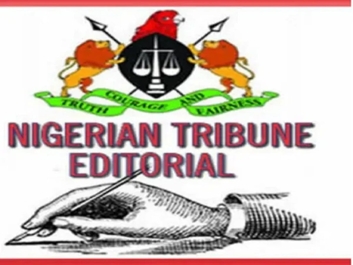 custodial inmates to farms out-of- school children suspected political thugs ‘Nigerian king’ in South Africa aborted UNICAL exam capital budgets Festus Adegboye Onigbinde of political office holders Citizen Antonia’s escape Nigeria’s defence DisCos and Nigerians people still bleaching UI law graduates National Assembly and Nigeria-US Nigeria’s electricity Osimhen Professor Jeyifo on Vote buying killing of son by father US soldiers in Nigeria United States soldiers in Nigeria, of election results death of Abuja music star Fela is in Rivers State Kwara and For presidency AFCON 2025 DisCos versus the Local contractors’ AFCON 2025 of Kano woman PwC’s poverty shortage of blood kidnapping in Edo President Yoweri Museveni release of terrorists electricity distribution companies deployment of forest guards crash in medical tourism spending assault on Pedro Obaseki Governor Alia on APC women protesting at Kwara Government House Governor Radda’s defence of governors happy 2026 onslaughts on terrorists vandalism of national infrastructure detention of a journalist’s wife Merry Christmas child-bride in Kaduna war against border insecurity tinted glass issue shortage of blood in hospitals Super Eagles and AFCON 2025 school safety probe Southern governors on insecurity Open grazing proposed ban on sachet alcohol murder of FRSC officer Super Eagles’ 2026 World Cup Chibok Girls to Maga/Papiri Girls s3xual accusations assault on Ebonyi journalist attacks in Kwara Rivers judge against police The Anambra governorship election $1bn loan request ISWAP to Ondo and Kogi marriage in Kano woman
