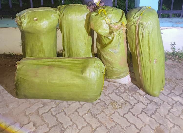 La DCEA saisit hier des tonnes de l'ambassadeur Stephen Patrick Mbundi à Chamwino State House à Dodoma. (Photo de State House) des stupéfiants et démantèle les réseaux de drogue émergents