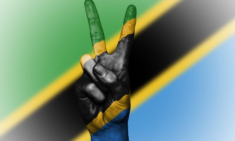 La Tanzanie renforce son rôle dans la paix régionale et la coopération diplomatique