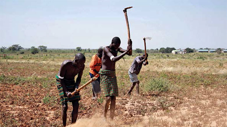 Le PCCB chargé de traquer les cotisations agricoles impayées et les détournements de fonds
