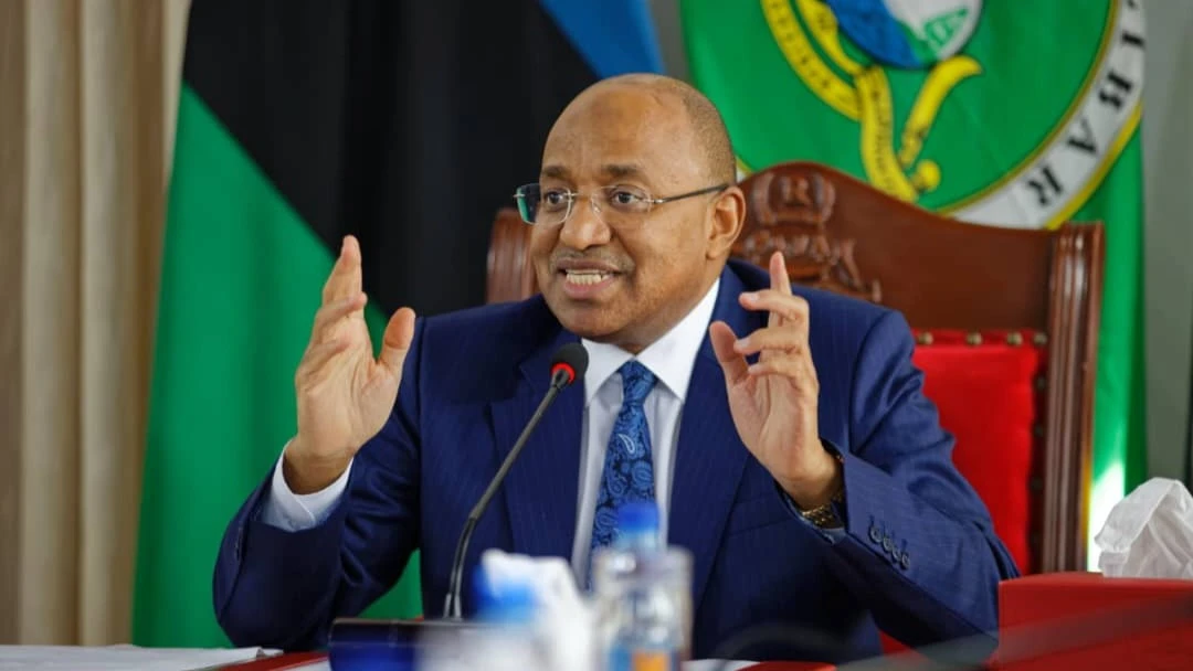 Mwinyi appelle à défendre les valeurs de l'Union