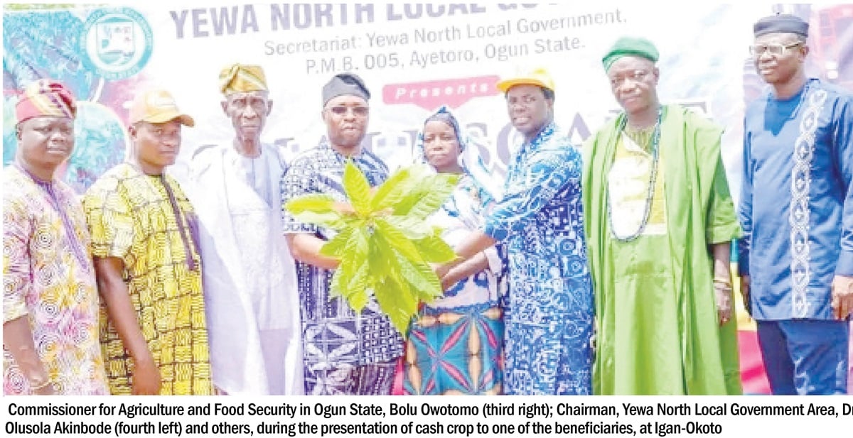 cash crop seedlings to farmers