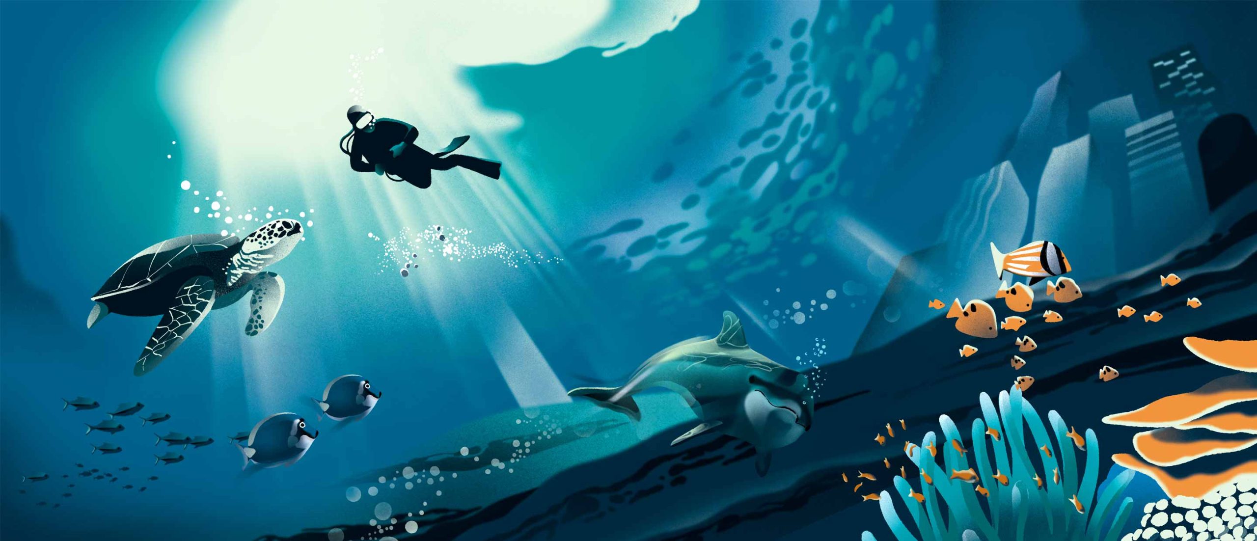 Zanzibar déploie un plan de données marines pour stimuler la croissance de l'économie bleue