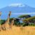 L&rsquo;ONU Tourisme se classe en tête de liste en Tanzanie après avoir enregistré une augmentation de 51 pour cent des arrivées de touristes
 – Tanzanie