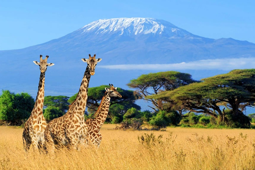 L'ONU Tourisme se classe en tête de liste en Tanzanie après avoir enregistré une augmentation de 51 pour cent des arrivées de touristes