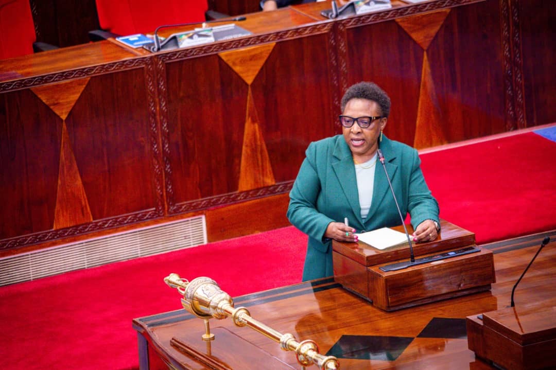 La Tanzanie présente des stratégies pour améliorer les services de santé pour les mères et les enfants