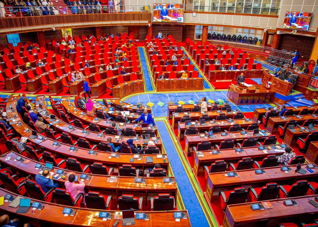 La Tanzanie présente un budget de 359,326 milliards pour le ministère des Affaires étrangères et de la Coopération est-africaine