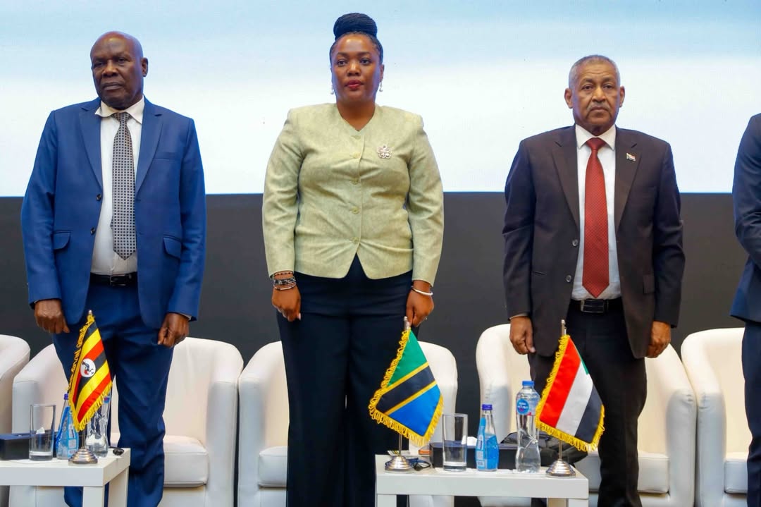 La Tanzanie utilise la plateforme EAPP pour affirmer sa volonté de coopération dans le secteur de l'électricité