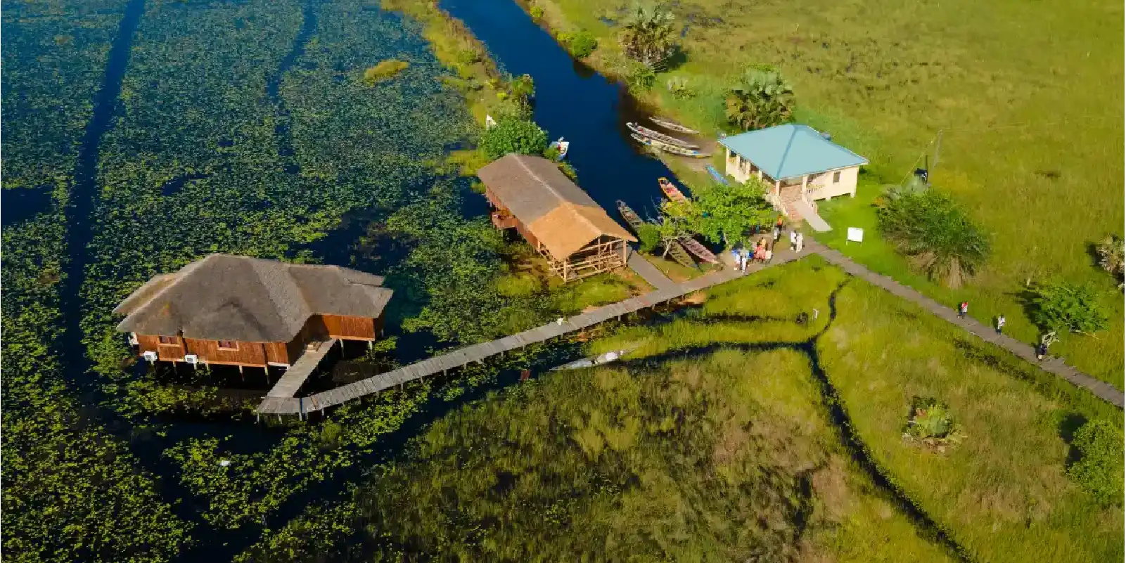 La Tanzanie voit les revenus de l'écotourisme dépasser les 3 milliards en raison de la forte augmentation du nombre de visiteurs
