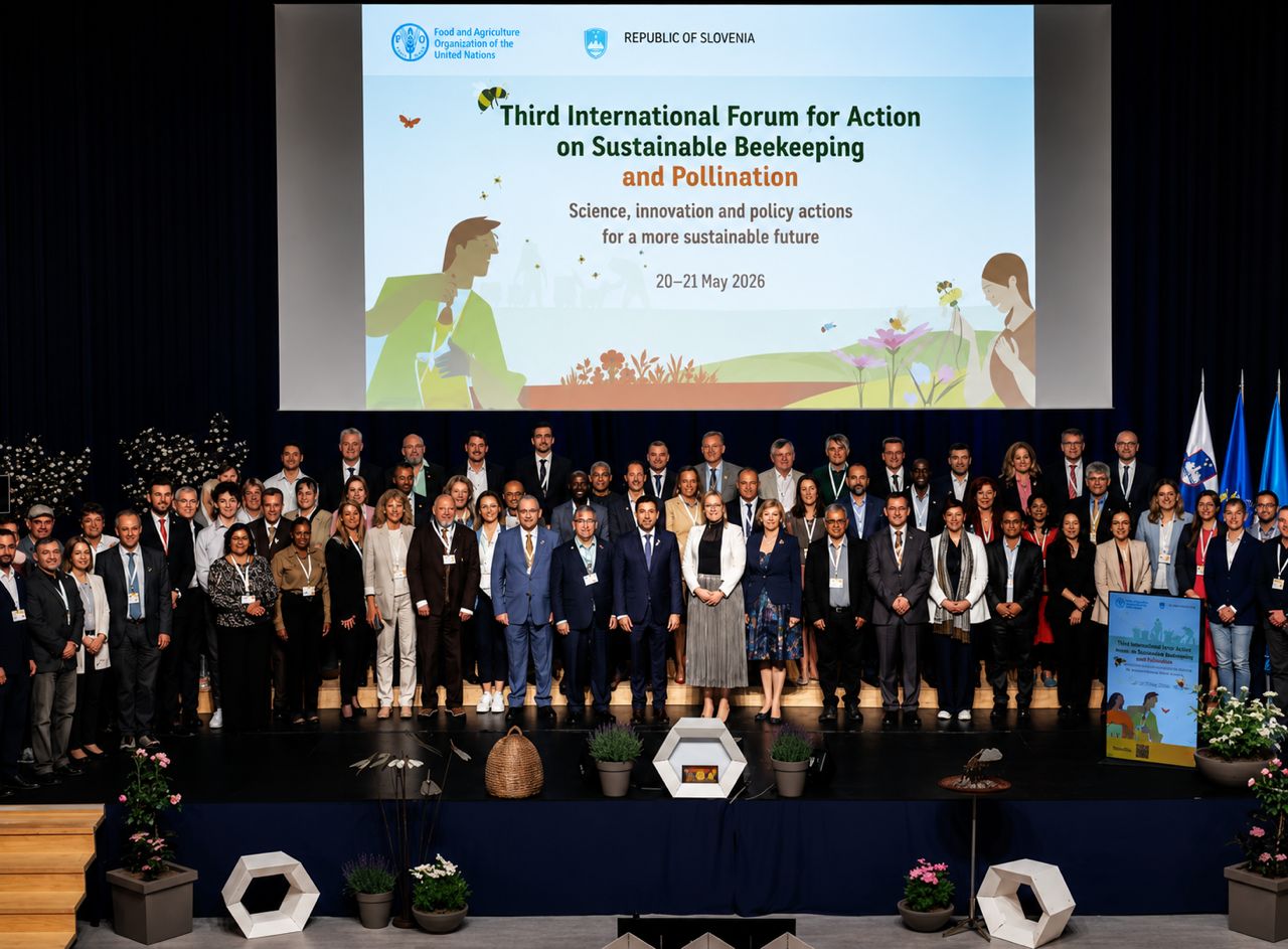 L'apiculture innovante de la Tanzanie impressionne au 3ème Forum mondial pour l'apiculture et la pollinisation