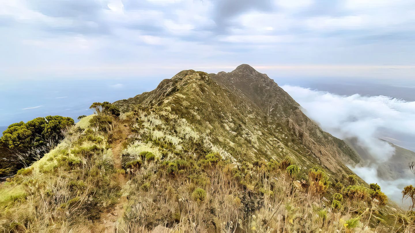 Le mont Hanang récupère sa végétation naturelle grâce à l'intensification de l'éducation à la conservation