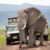 TZ parmi les principales destinations d&rsquo;investissement touristique en Afrique
 – Tanzanie