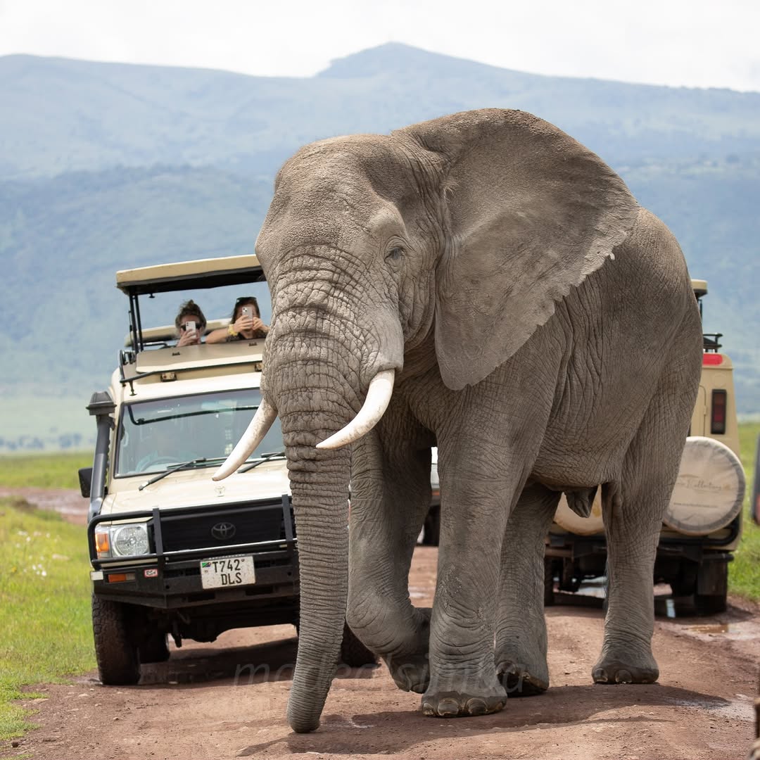 TZ parmi les principales destinations d'investissement touristique en Afrique
