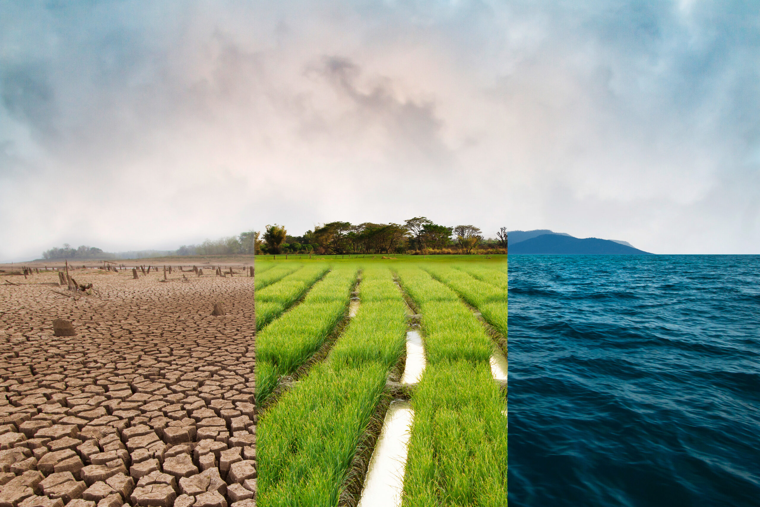 TZ recevra jusqu'à 108 milliards de dollars pour la résilience climatique