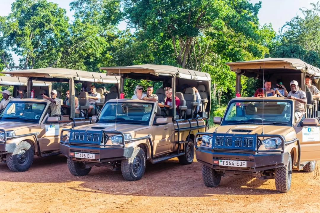 Une étape importante pour le parc national de Nyerere après que sa piste d'atterrissage de Mtemere ait accueilli son premier avion touristique