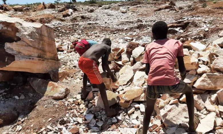 La Tanzanie réaffirme la lutte contre le travail des enfants lors de la réunion de l'ONU à Genève