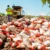 La ZFDA détruit 82 tonnes de produits alimentaires impropres
 – Tanzanie