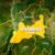 La police déjoue un complot d&rsquo;une jeune fille de 21 ans visant à vendre son nouveau-né à Anambra
 – Nigéria