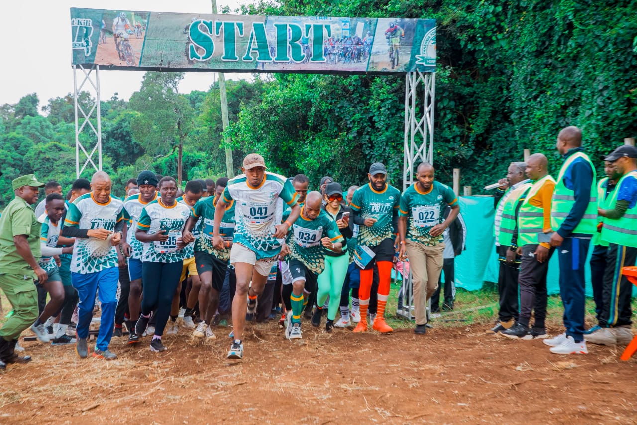 Le West Kili Forest Tour Challenge enchaîne plus de 350 entrées
