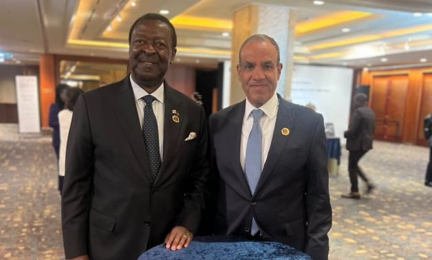Le ministre égyptien des Affaires étrangères discute avec son homologue kenyan des moyens de renforcer la coopération bilatérale