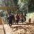 Le relais de la flamme Uhuru lance un projet touristique Magamba de 2,6 milliards à Tanga
 – Tanzanie