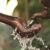 Les autorités de l&rsquo;eau mises en demeure concernant la prestation de services
 – Tanzanie