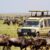 Le boom du tourisme stimule l&rsquo;économie de Karatu
 – Tanzanie