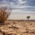 Le changement climatique lié à l’augmentation du retard de croissance chez les enfants en Afrique – Étude
 – Nigéria