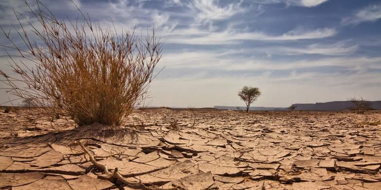 Climate change childhood stunting across Africa on Climate change