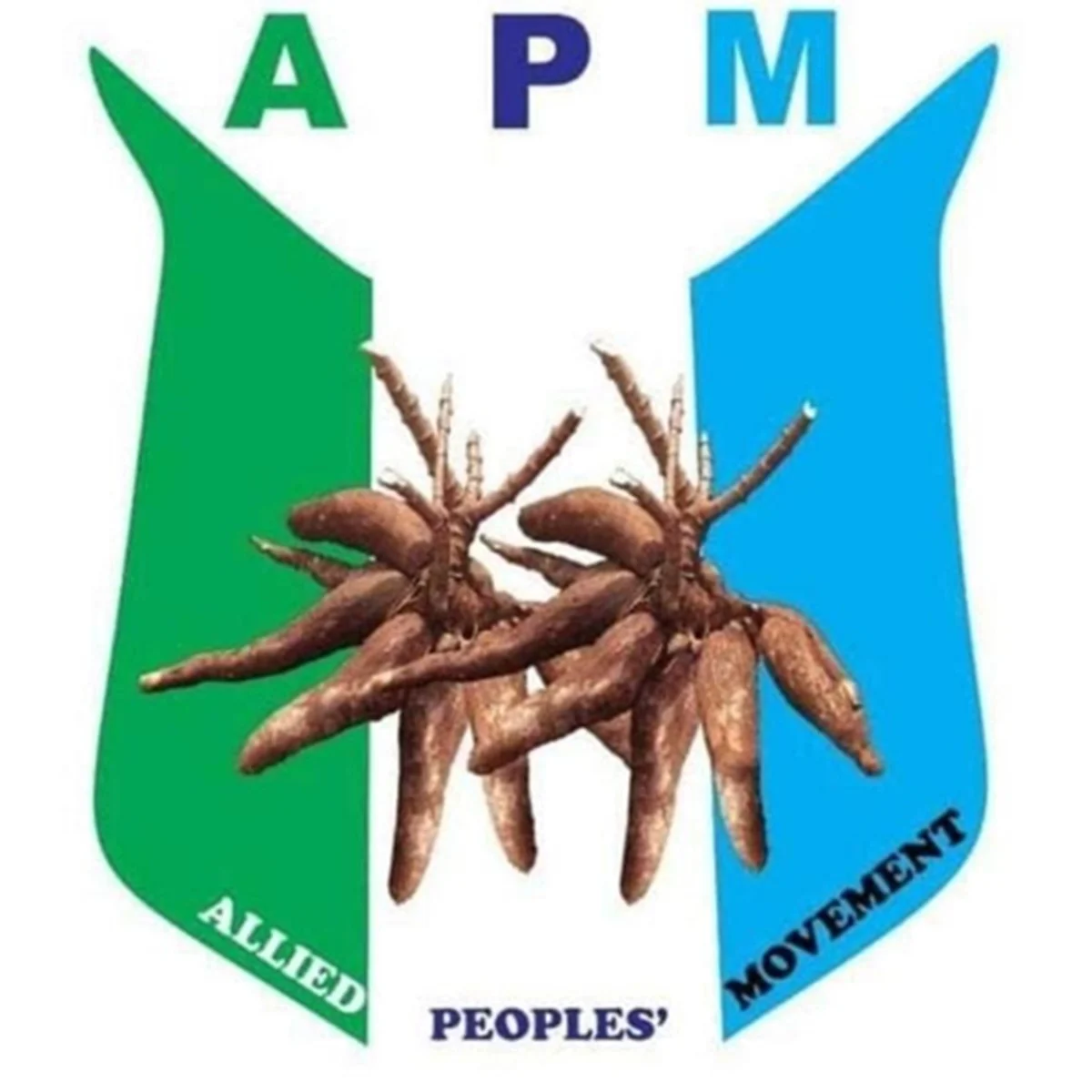 Ogbomoso APM leaders APM logo Justice Ojo