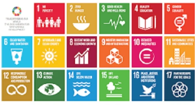 UN SDGs on track
