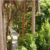 Jardin Botanique d&rsquo;Assouan : Remèdes naturels et plantes aromatiques
 – Egypte