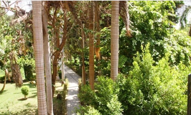 Jardin Botanique d'Assouan : Remèdes naturels et plantes aromatiques