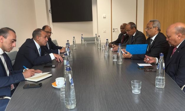L'Égypte et Djibouti discutent du premier sommet des entreprises africaines à Alamein, mises à jour sur la Corne de l'Afrique