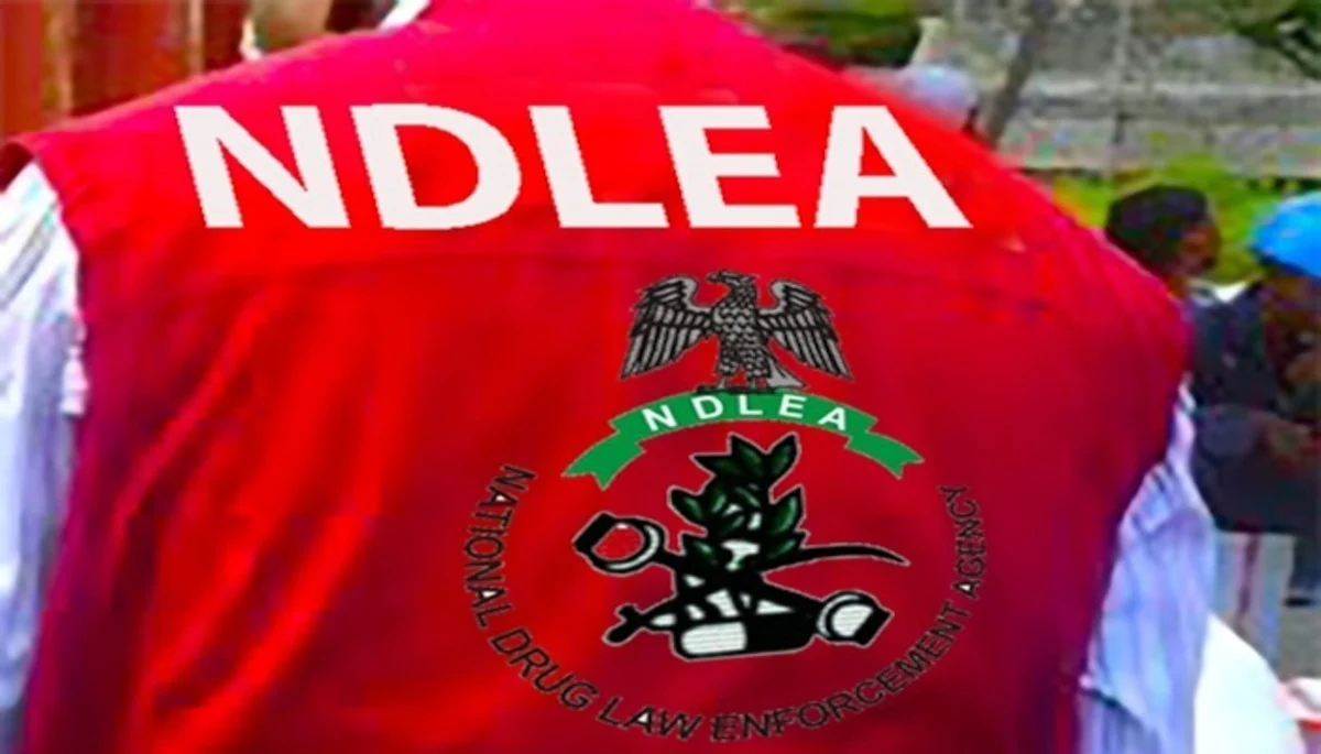 National Drug Law Enforcement Agency on substance abuse National Drug Law Enforcement Agency (NDLEA) who have arrested 27-year-old Umar Adamu Umar of Fagge LGA, Kano State, with 9 kilograms of Cannabis Sativa (Colorado) worth ₦10 million, seized in 19 parcels, Logo of NDLEA ntercepted consignments of cocaine and tramadol 225mg concealed in 71 vehicle side mirrors at Lagos Airport