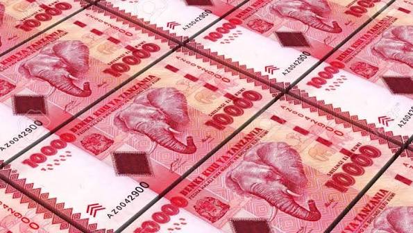 Le CCM satisfait de 4,5 milliards de projets à Tabora