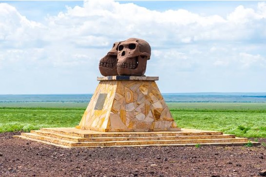 TAWA poursuit ses études sur les fossiles anciens du Ngorongoro