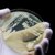 Une superbactérie mortelle capable de recâbler le système immunitaire confirmée dans 23 États américains
 – Nigéria