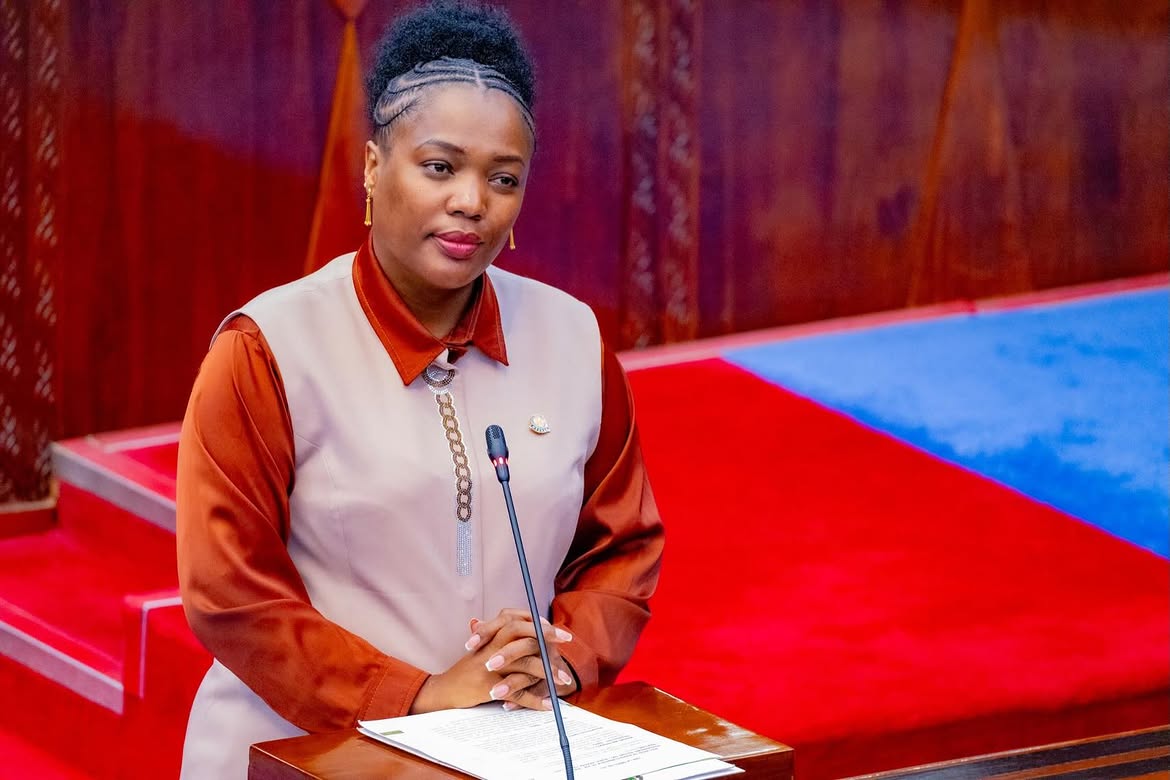 La Tanzanie envisage de produire 122 mégawatts supplémentaires grâce à ses projets d'énergie solaire