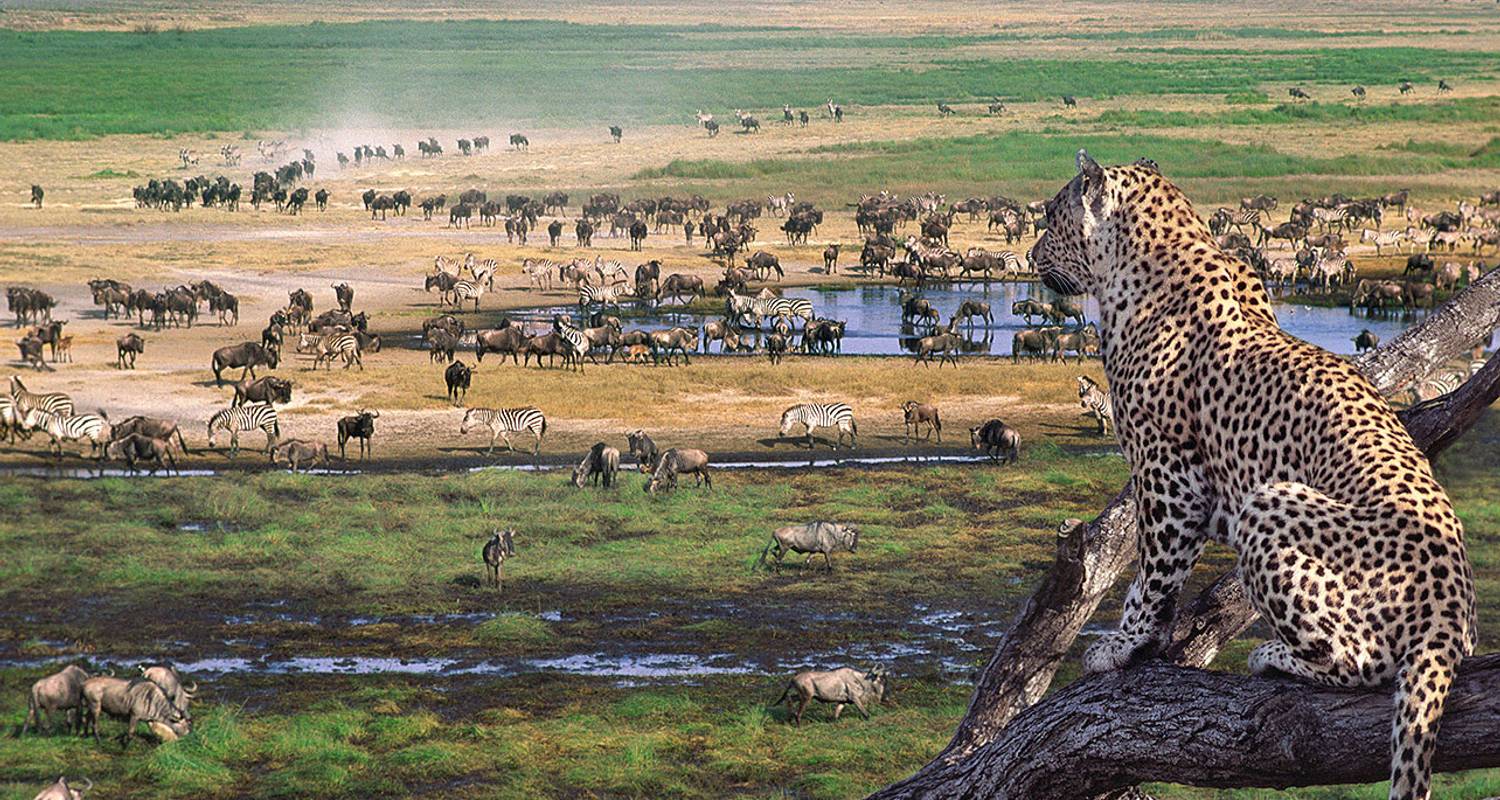 La WTA décerne à la Tanzanie le titre de meilleure destination africaine alors que le TTB conserve le prix de l'Afrique en tant que meilleur office du tourisme pour la 5ème année