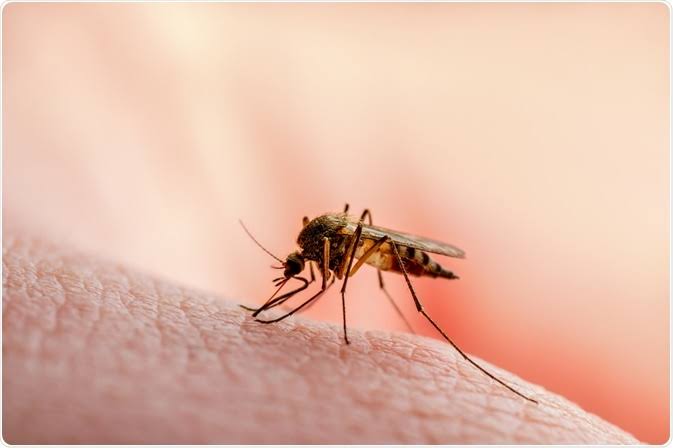 Oyo malaria positivity malaria hotspots in Akure