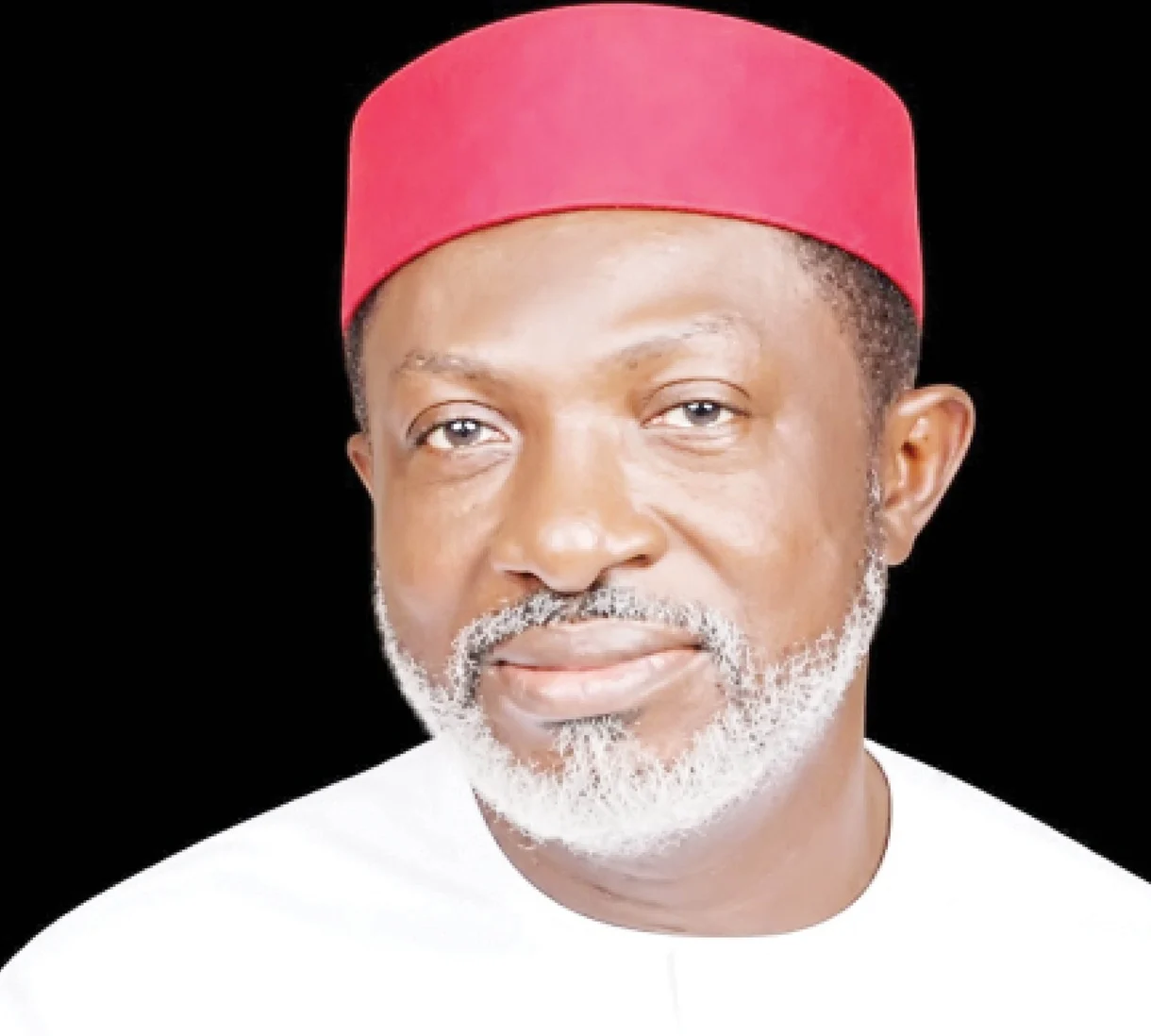 Paul Ibe, a Media Adviser to former Vice President and African Democratic Congress (ADC) presidential candidate, Alhaji Atiku Abubakar.