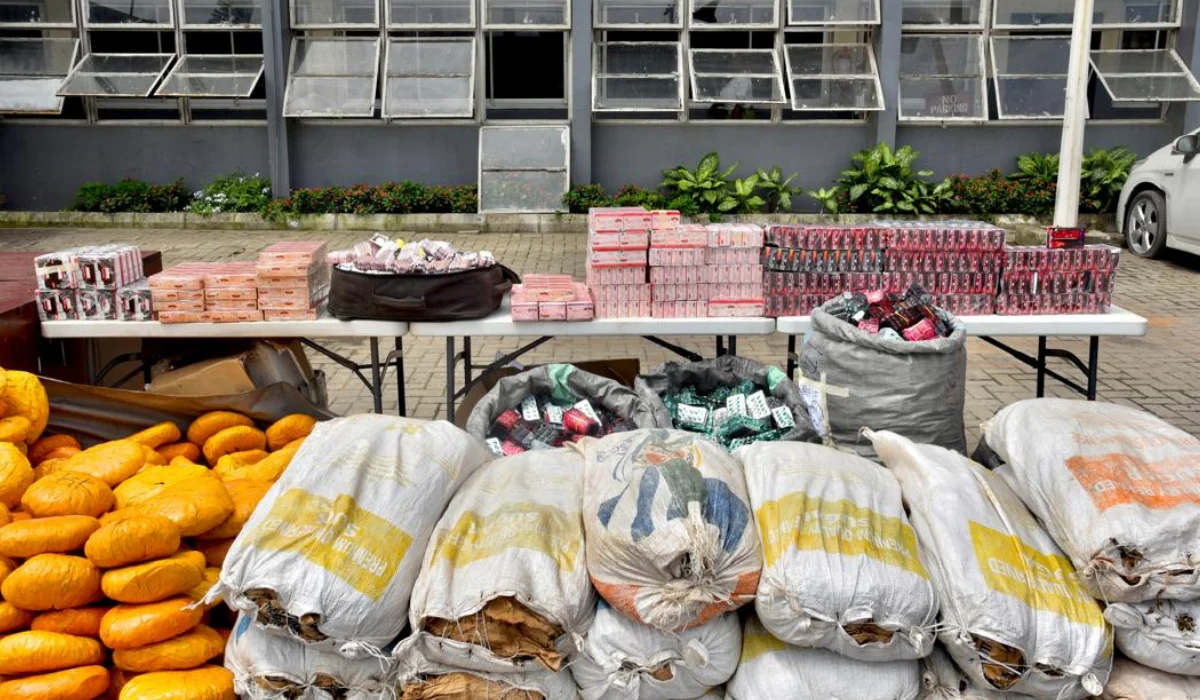 Les douanes saisissent et remettent 3,9 milliards de nairas de drogues dures à la NDLEA et à la NESREA