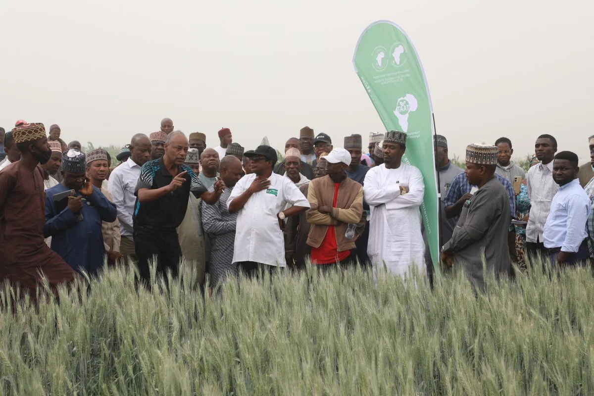 TAAT et FG forment des maîtres-formateurs en vulgarisation pour atteindre 500 000 agriculteurs nigérians