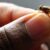 Clé de données précises pour lutter contre la mouche tsé-tsé
 – Tanzanie