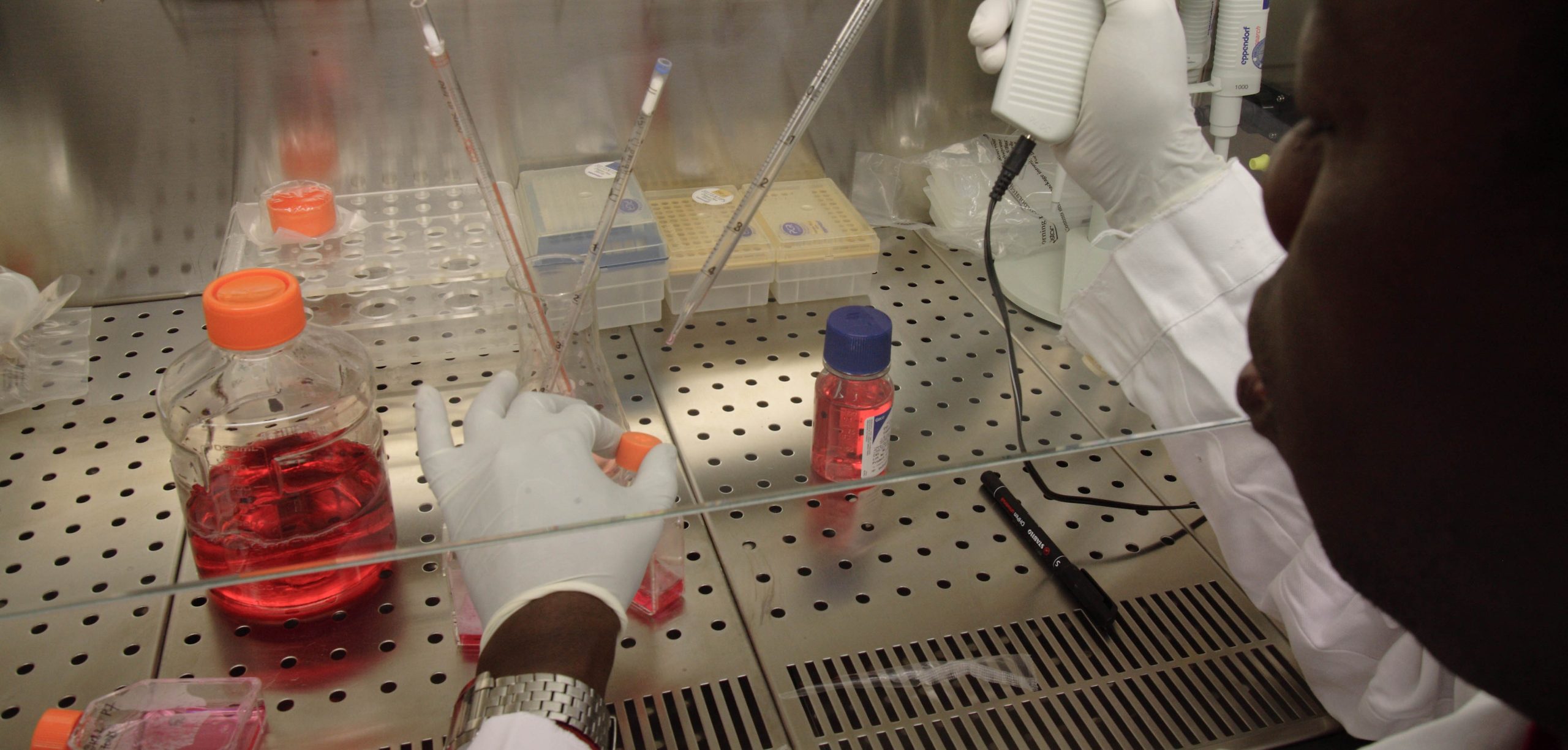 Il est conseillé à la Tanzanie d'appliquer la science nucléaire aux soins de santé, à l'agriculture et à l'approvisionnement en eau potable