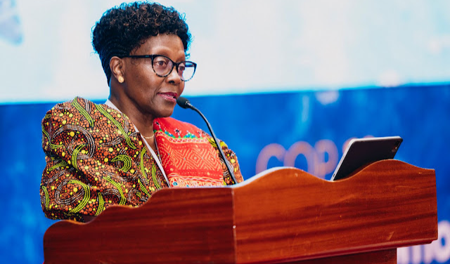 La COP12 fait progresser le programme de conservation marine