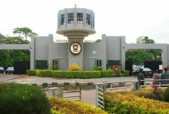 UI GATE stroke care UI GATE Nigerian innovators postharvest engineering UI don contract employment, University of Ibadan student, students of University of Ibadan, Don charges education stakeholders, UI charges students’ representatives
