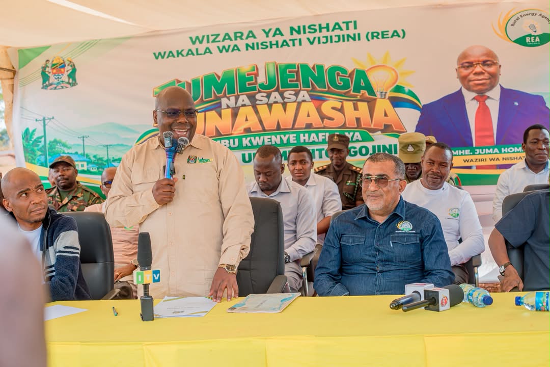 La Tanzanie charge la REA d'assurer l'électrification de tous ses hameaux d'ici 2030